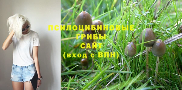 тгк Киреевск