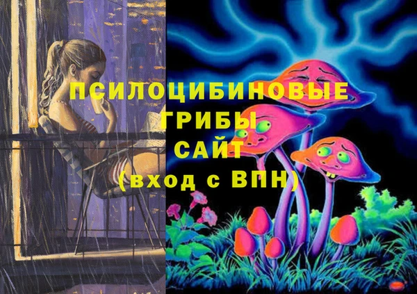 spice Кинешма