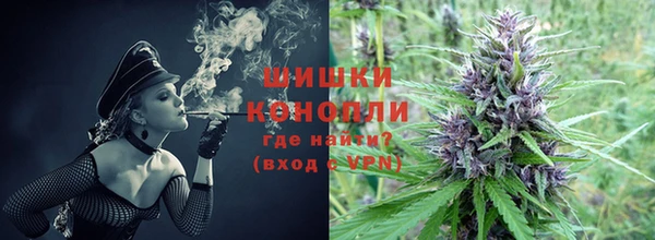 spice Кинешма